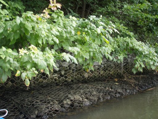 ���e�W(w��ng)���B(t��i)�����DƬ����